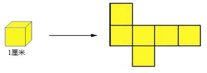 正方体的展开图相对面有什么规律_百度知道