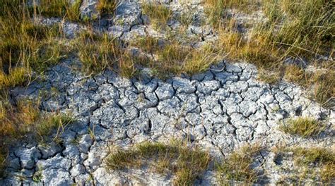 Image result for Nonpoint Source Pollution Examples