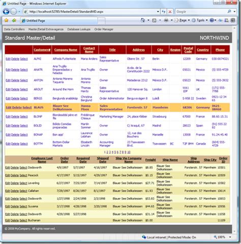 Java EE Master-Detail Example 的图像结果