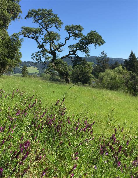 District Manager - Koff & Associates