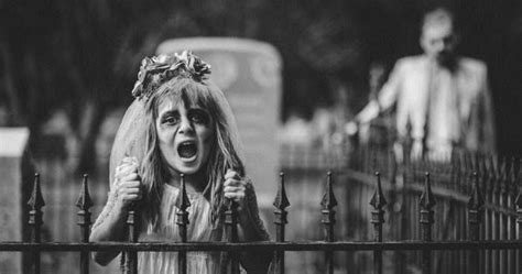 Haunted Halloween Maze at Lake Catherine Farms, Lake Catherine Farms ...