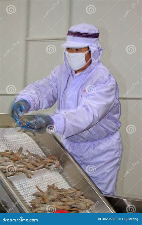工作在海鲜proces的大虾生产流水线的工作者 编辑类库存照片. 图片 包括有 è¡£ç‰©, é£ÿç‰© - 30235893