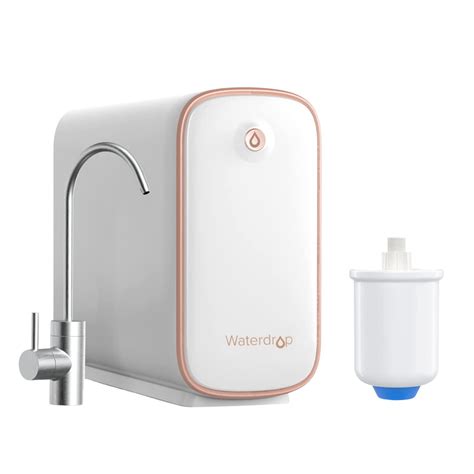 Buy Waterdrop WD-D4-W Reverse Osmosis System with WD-PMT Mini Water ...