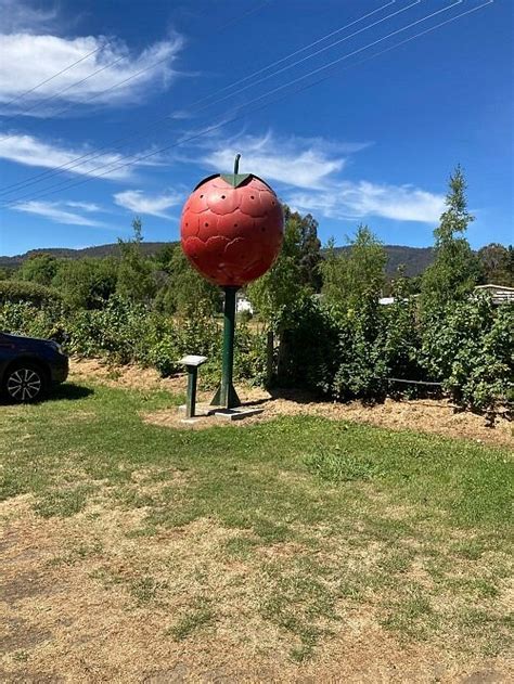 THE WESTERWAY RASPBERRY FARM (2026) All You Need to Know BEFORE You Go ...