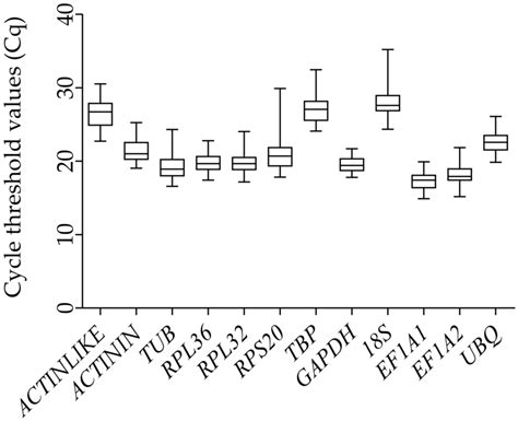 Evaluation of Reference Genes in Glenea cantor (Fabricius) by Using qRT-PCR