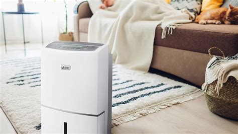 10 Superior Dehumidifier And Air Purifier Combo for 2023 | CitizenSide