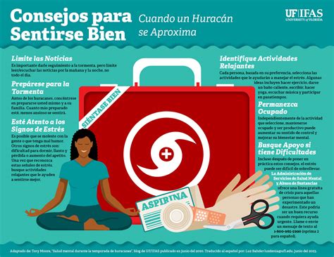 After the Storm Passes: What to Do