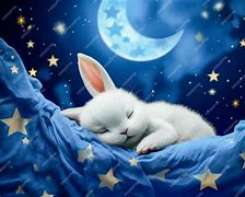 Image result for Cute Baby Bunny with White Background
