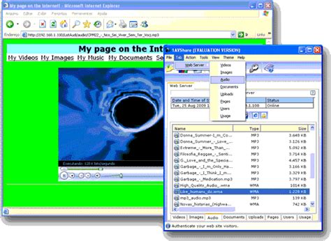 File Share Program 的图像结果