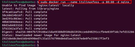 Docker Run Command 的图像结果