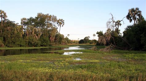 Gorongosa National Park | Safari Consultants