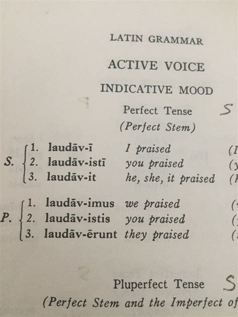 Latin Grammar Exercises