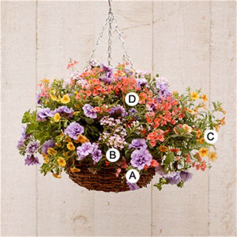 Askılı Saksılara uygun çiçek arajmanları - agaclar.net