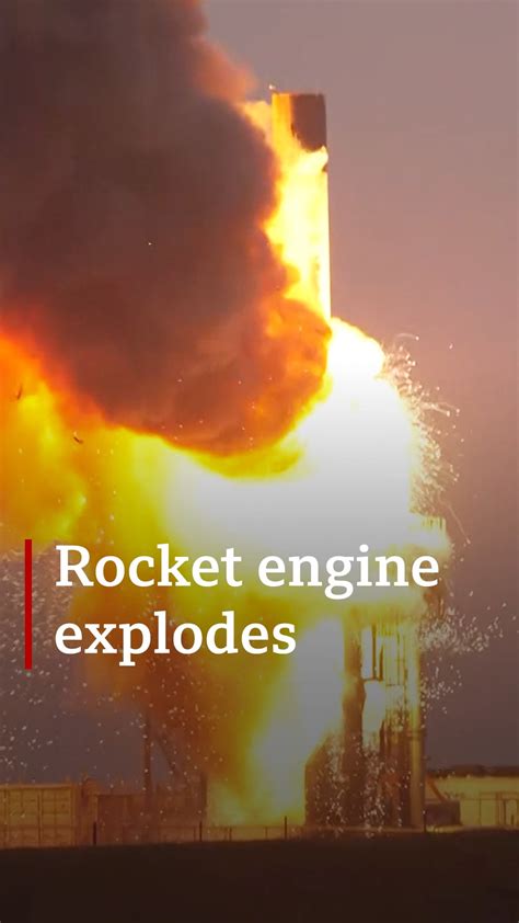 Rezultat imagine pentru Dogs Programmes