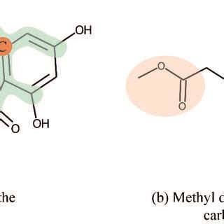 Local and Global Structure 的图像结果