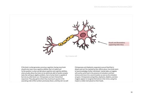 D'source Case Study - Slide Show | Data Visualization on Comparative ...
