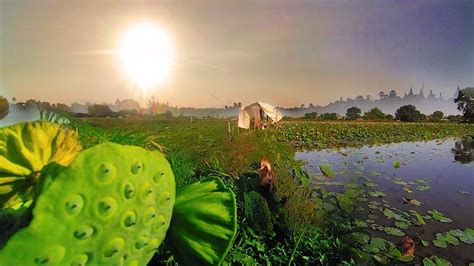 Country People 的图像结果