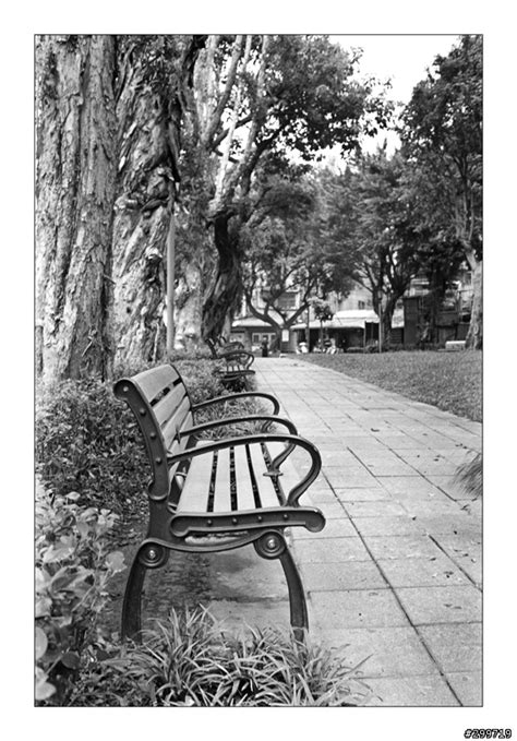 久違了~AGFA RODINAL 黑白顯影劑 - Mobile01