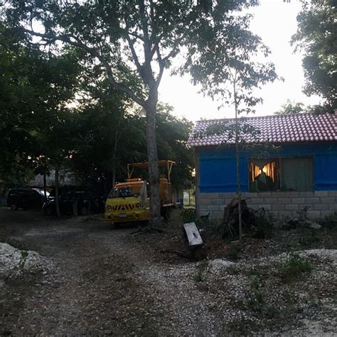 CABANAS LA SELVA (Chicanna) - Specialty Inn Reviews & Photos - Tripadvisor