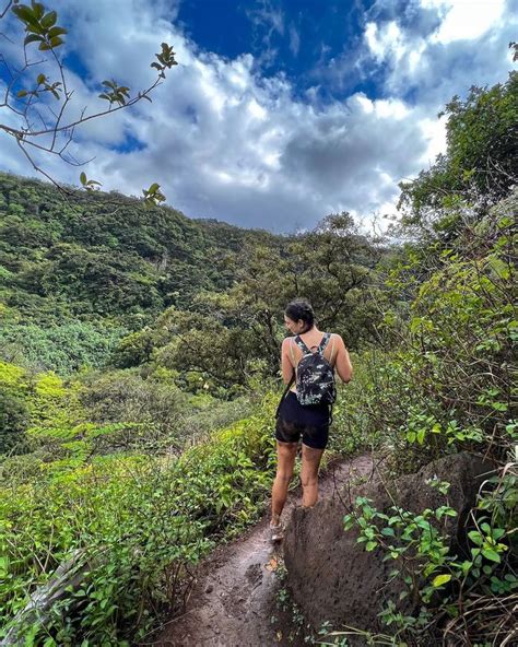 Image result for Sandy Cheeks Tattoo