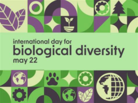 International Day for Biological Diversity On May 22 Reminds Us We Need ...