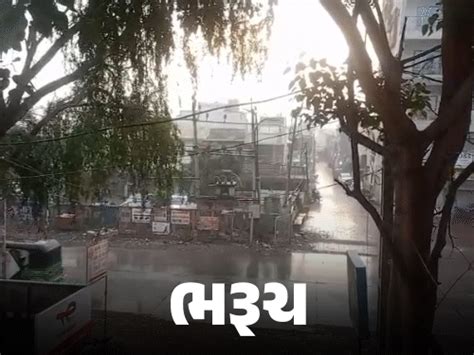 Gujarat Cold Wave Alert: Minimum Temperature Drop Expected Next Week
