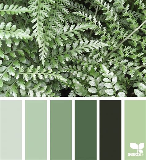 Nature Paper Color Set 的图像结果