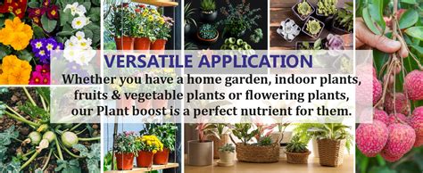 Garden Genie Plant Boost Liquid Biofertilizer, (3 x 50ml) | Organic ...