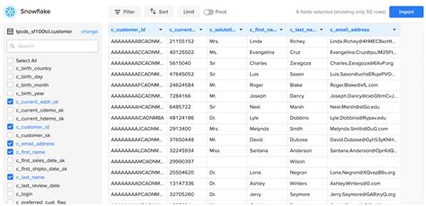 Image result for How to Use Excel to Update Snowflake Database