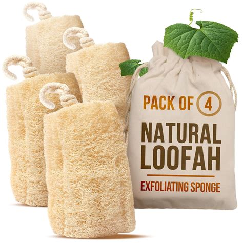 All Natural Loofah Sponge, Set of 4 Real Egyptian Bath & Shower ...