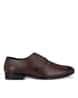 Buy Brown Formal Shoes for Men by Viv Online | Ajio.com