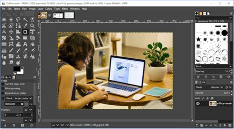 Image result for GIMP Computer Drawing Software