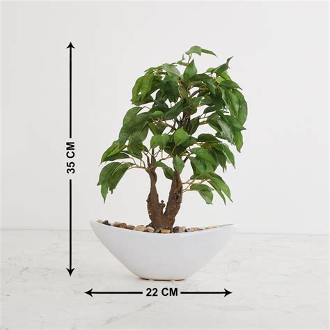 Buy Fiesta Green Artificial Ficus Potted Plant from Home Centre at just ...