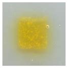 Double-Layered Films Based on Furcellaran, Chitosan, and Gelatin ...