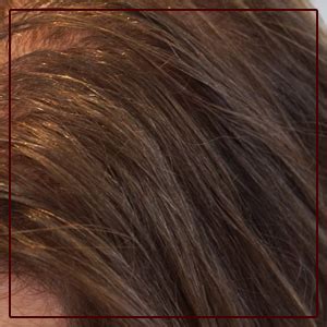 Arganicare Argan Oil Collagen Revitilazing Shampoo 400ml : Amazon.in ...