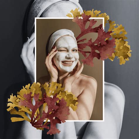 5 DIY Sea Moss Face Mask Recipes - The Style Diary