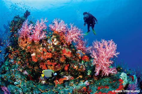 Do's and Don'ts Tourist Tips for Andaman Islands