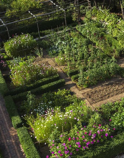 Gardenia - Bello di natura - Sotto le querce