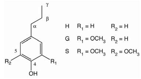 Polyoxometalates in Oxidative Delignification of Chemical Pulps: Effect ...