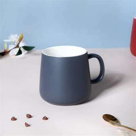 Buy Sleepy Owl Ceramic Mugs Set of 2 | Microwave Safe 350ml Coffee Mug ...