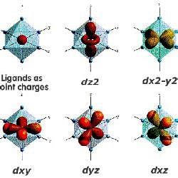 Hybridisation - Physical Chemistry for NEET PDF Download