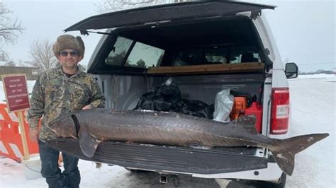 Wisconsin DNR: 100 fish speared on Lake Winnebago Sunday