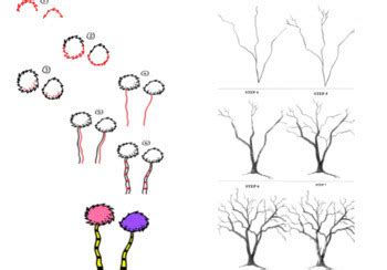 Image result for Maple Tree Drawing Reference