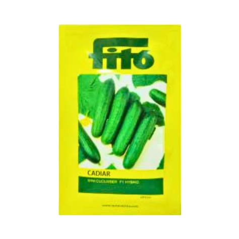 Cadiar Mini Cucumber Seeds - Fito | F1 Hybrid | Buy Online - DesiKheti ...