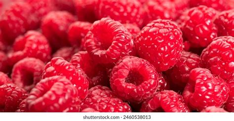Image result for Pastel Raspberry Color
