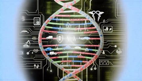 Genetic Algorithm to Code 的图像结果