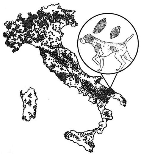 Pathogens | Topical Collection : Pathology and Parasitic Diseases of ...