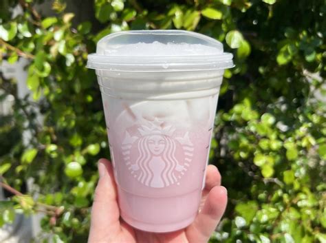 18 Tasty Starbucks Refreshers That Are So Delicious - What The Froth