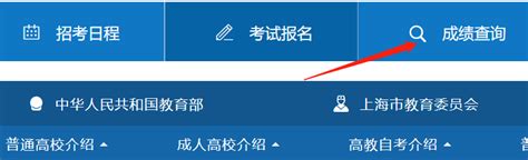 2021年3月上海计算机等级考试成绩查询时间及入口【5月12日起】
