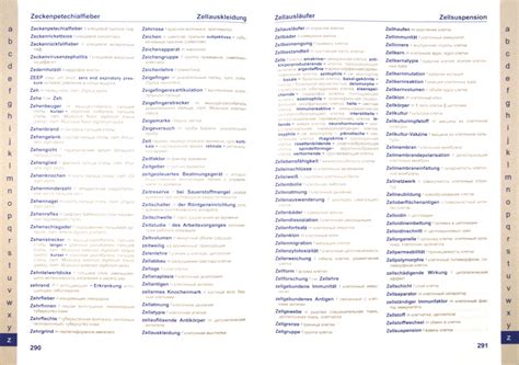 Список медицинских терминов 57 фото - wForm.ru
